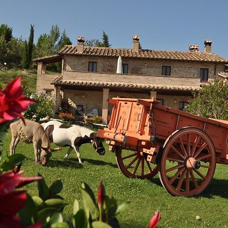 Farm Stay Il Carro Del Colle Collevalenza Exteriör bild